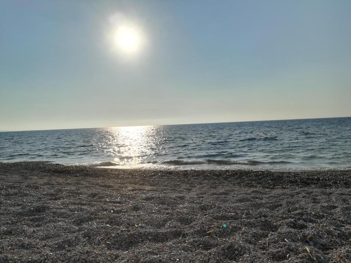 Olga'S Garden Apartments Almiros Beach Zewnętrze zdjęcie