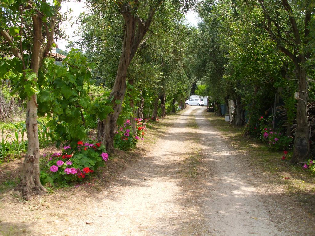 Olga'S Garden Apartments Almiros Beach Zewnętrze zdjęcie